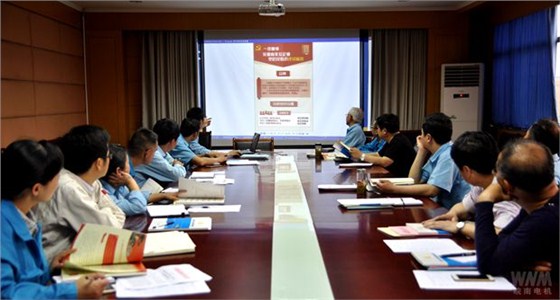 皖南電機：基層黨組織標(biāo)準(zhǔn)化建設(shè)培訓(xùn)