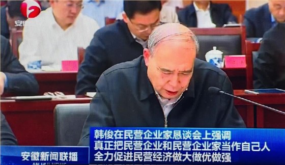 01-圖為皖南電機(jī)黨委書記、副董事長管兵在作重點發(fā)言。（視頻截圖）