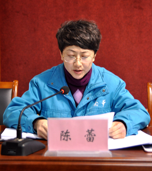 陳蕾作《關于轉(zhuǎn)增股本的議案報告》